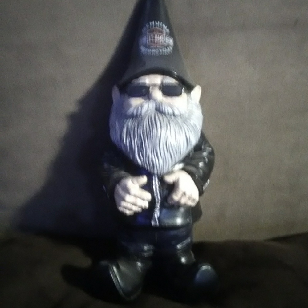 Meet your Posher, Dusty